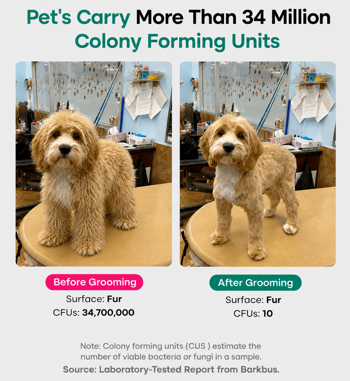 Silent Pet Grooming Kit