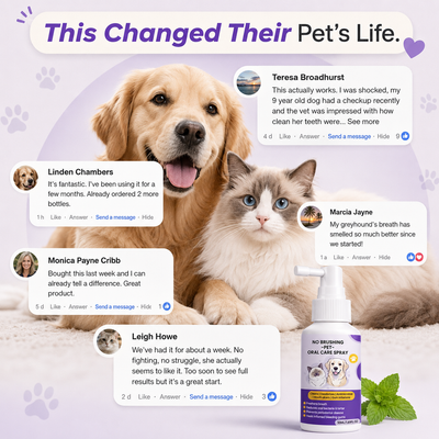 Dental Pet Spray