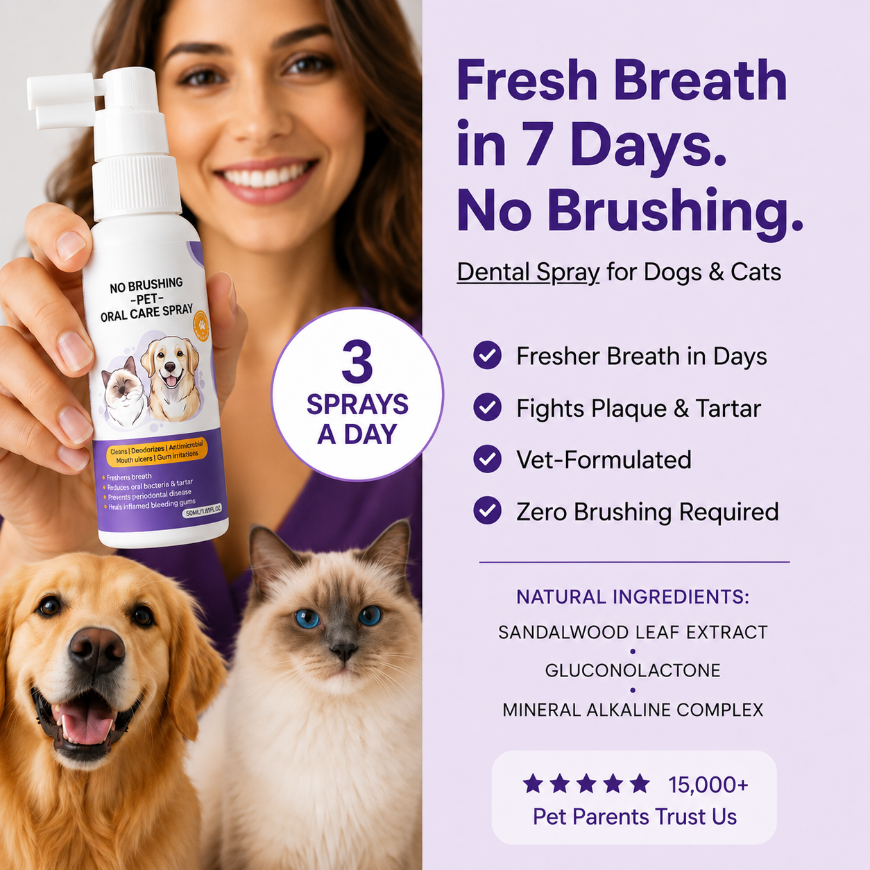 Dental Pet Spray