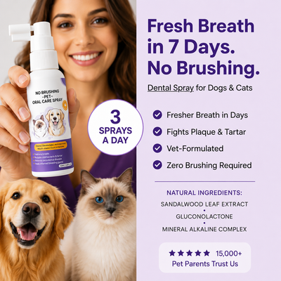 Dental Pet Spray