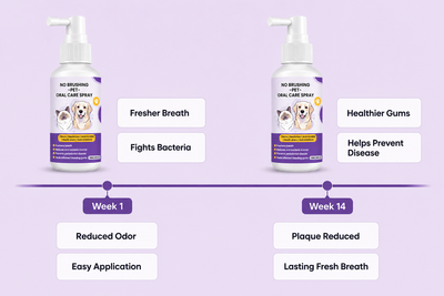 Dental Pet Spray