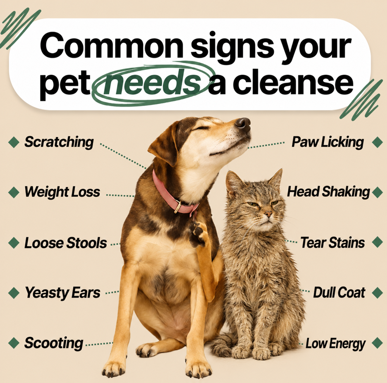 Pet Parasite Cleanse Drops