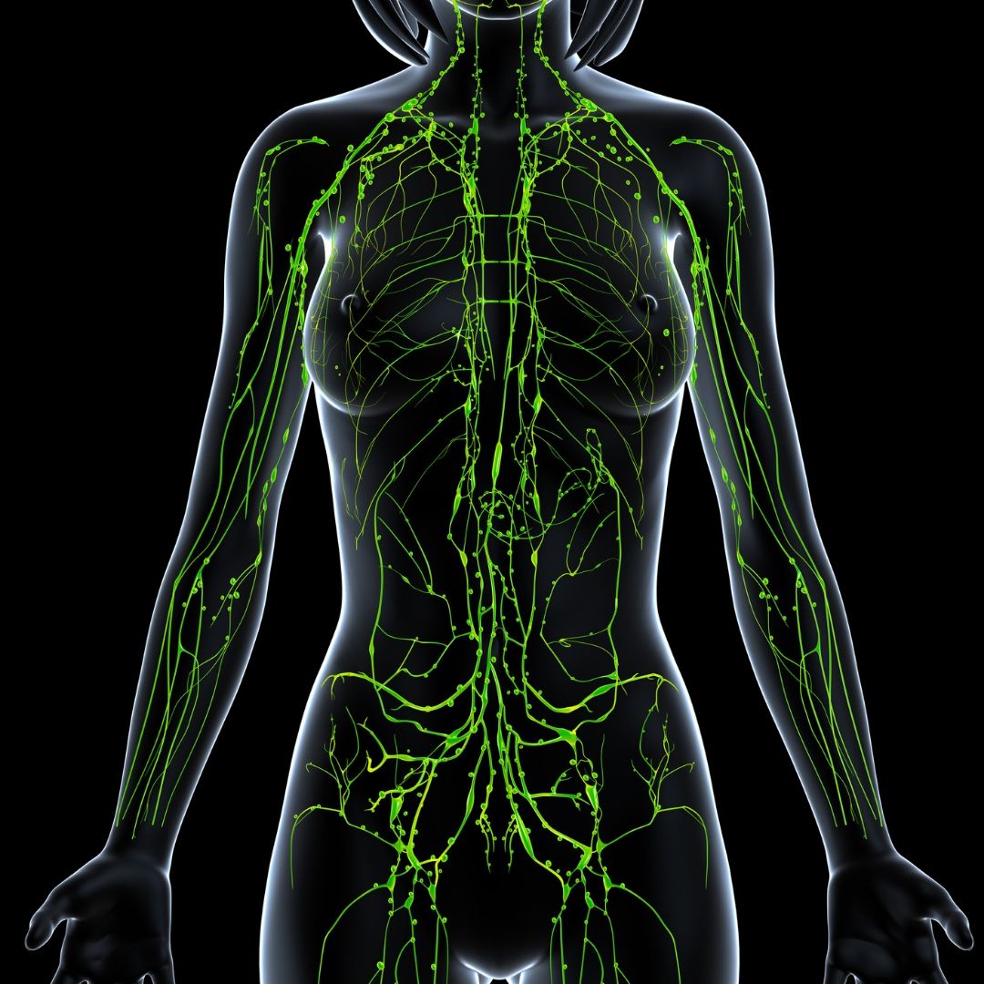 Lymphatic Wellness GuideBook