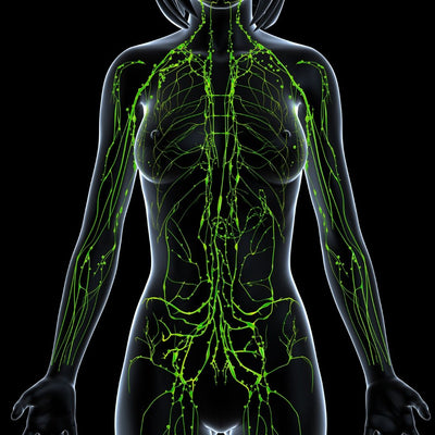 Lymphatic Wellness GuideBook