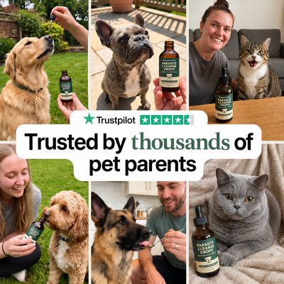 Pet Parasite Cleanse Drops