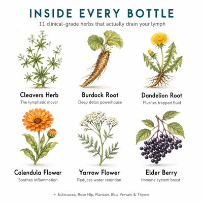 11 In 1 Liposomal Lymphatic Drainage Drops
